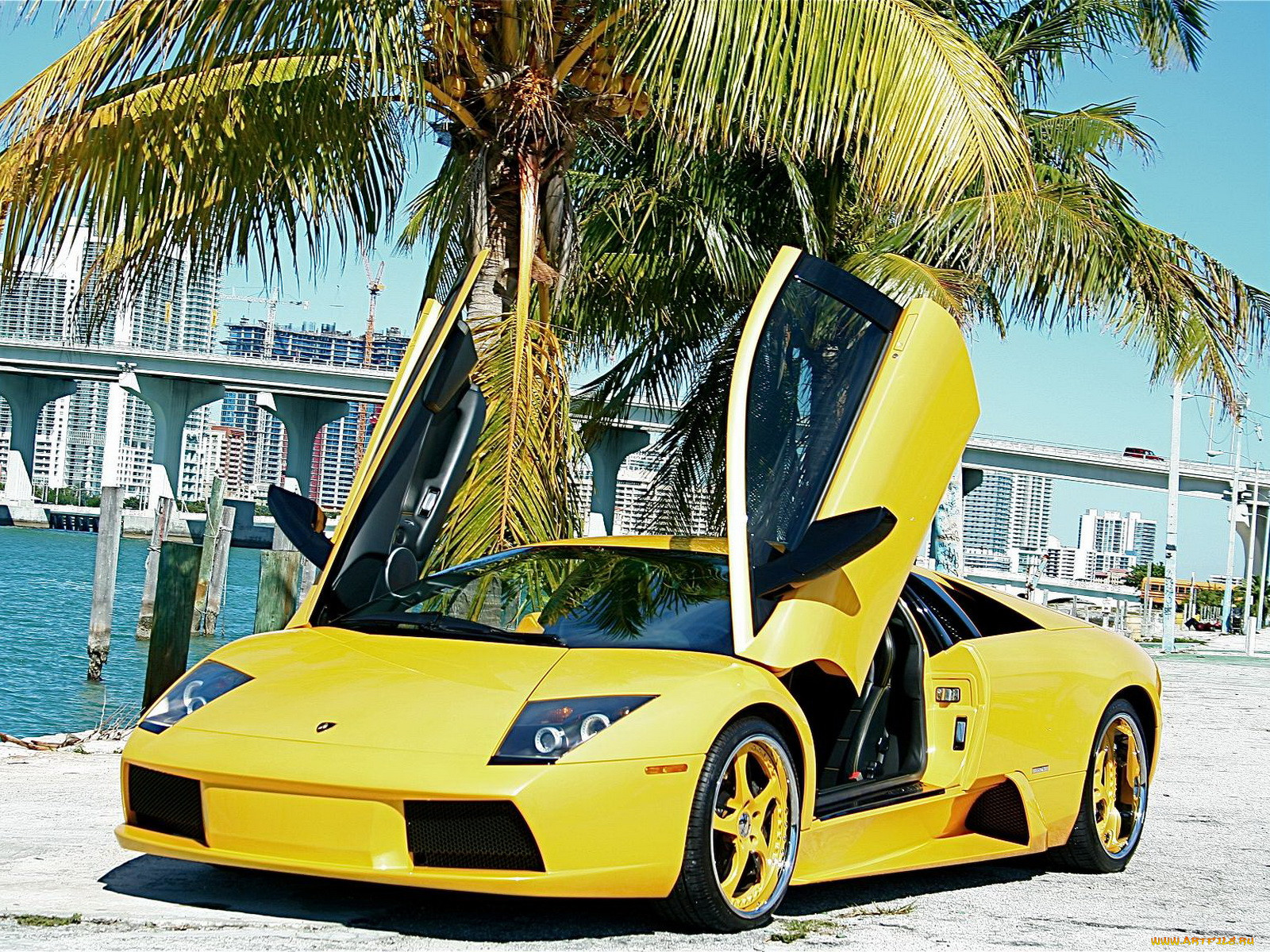 , lamborghini